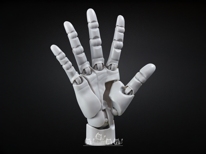 So-Ta Artist Support Item Collaboration - Takahiro Kagami 1/2 Hand Model R