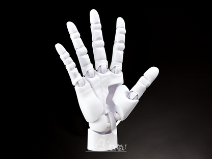 So-Ta Artist Support Item Collaboration - Takahiro Kagami 1/2 Hand Model R